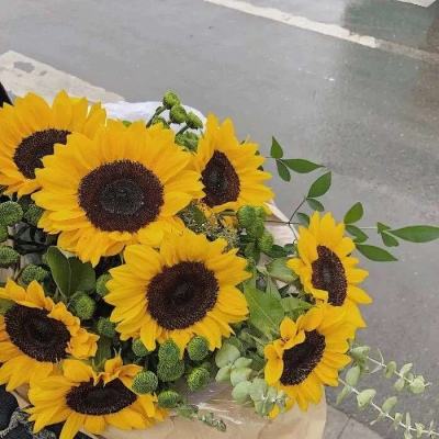 zoty中欧体育·(KOK)