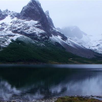 澳门精准正版资料大全app下载