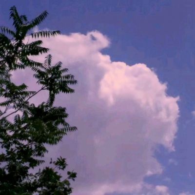 乐发app下载安装官网